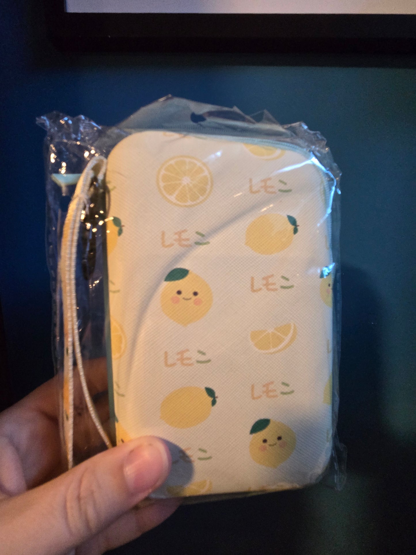 Printed Case for the 3DS and smaller consoles