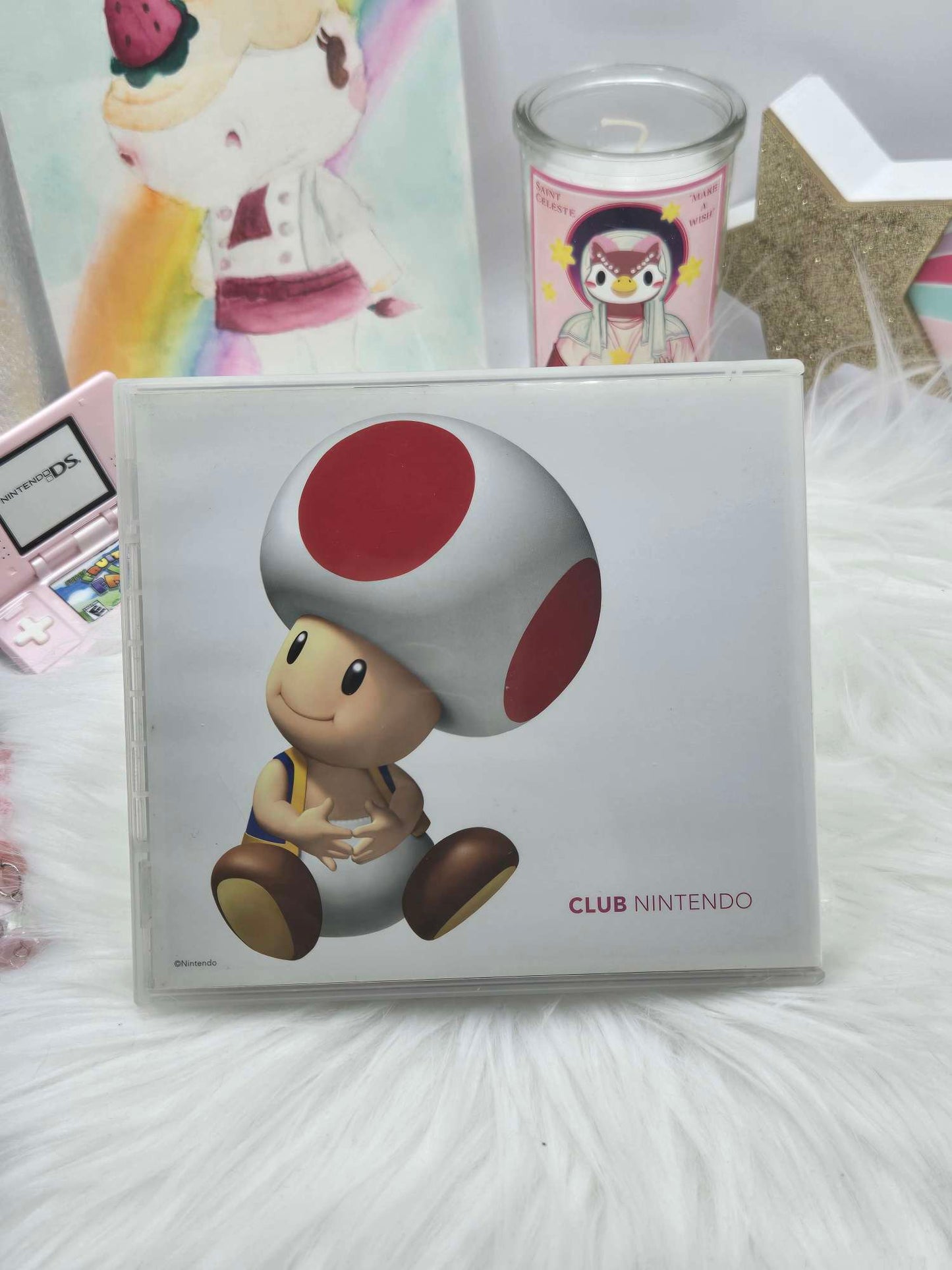 Club Nintendo DS game case image 1