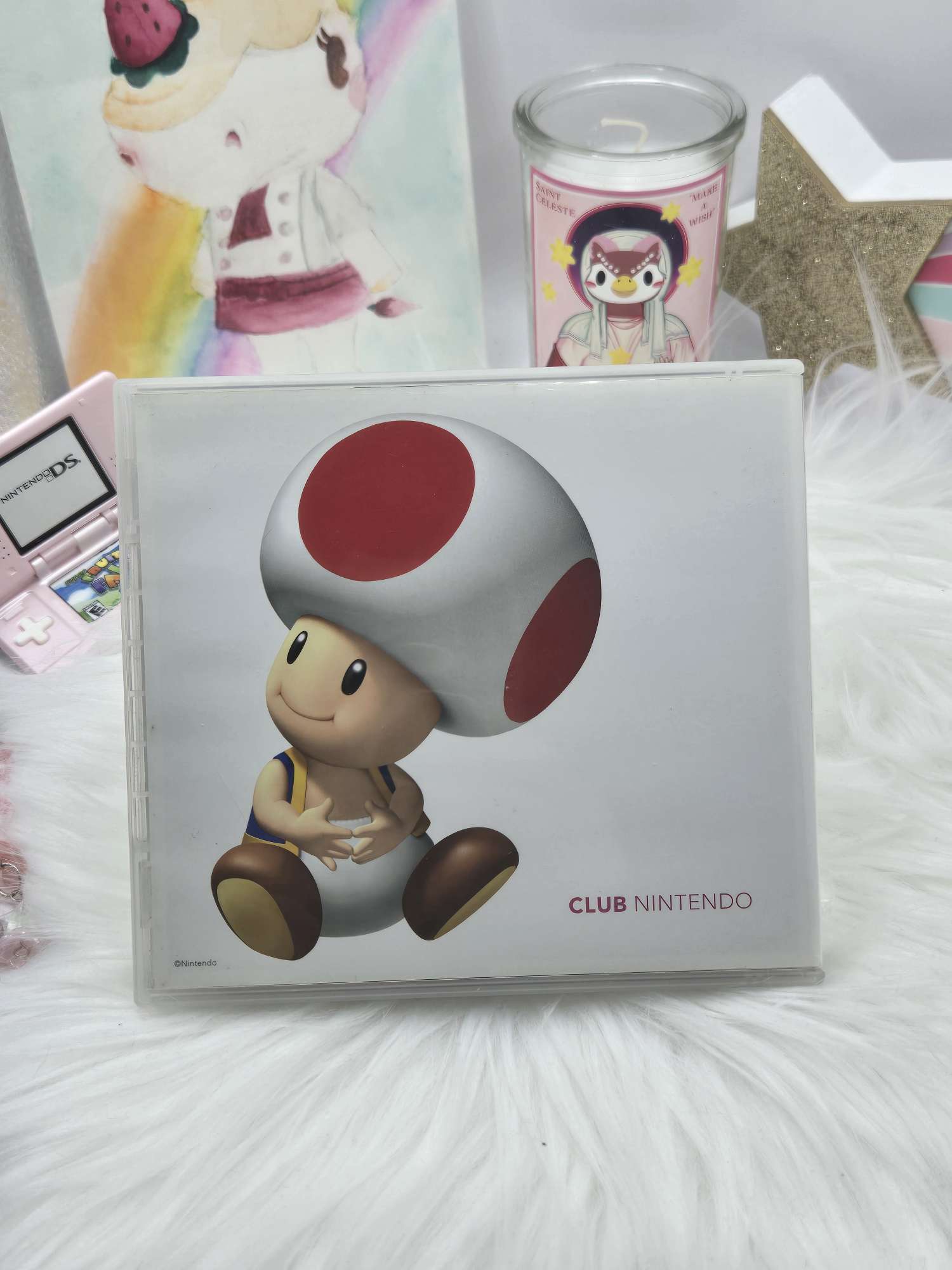 Club Nintendo DS game case image 1