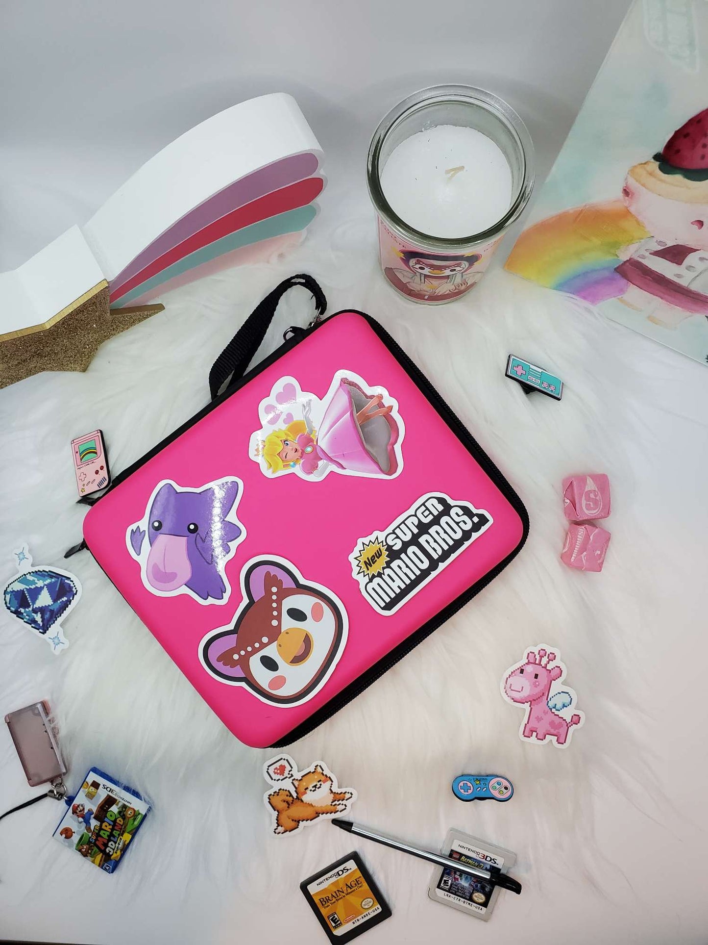 2DS Storage Case image 1
