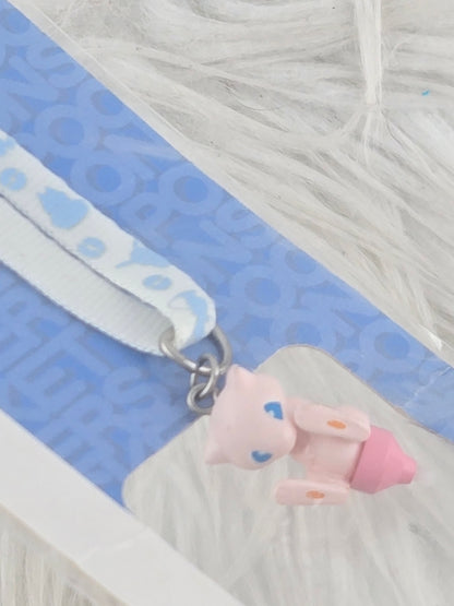 Accessories for the DS